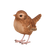 Zaunkönig