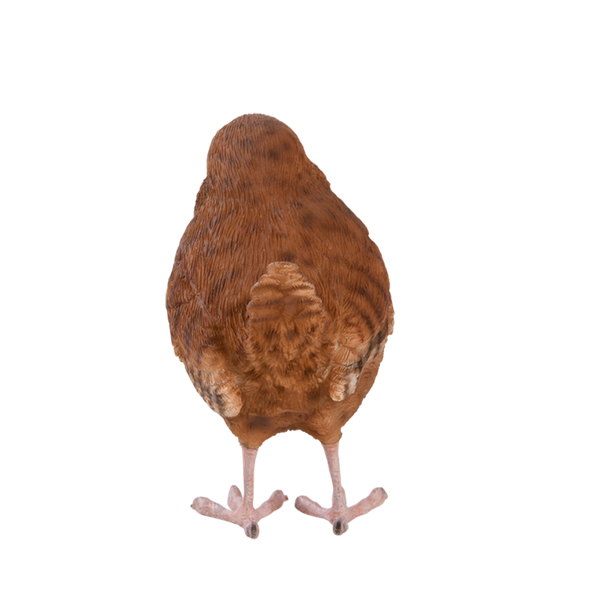 Zaunkönig