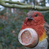 Erdnussbutter-Anhänger Vogel