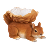 Futternapf für Eichhörnchen