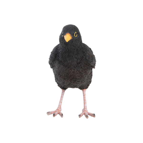 Amsel