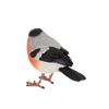 Gimpel
