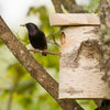 Vogelhaus Birkenstamm Groß 45mm | Tuinrijk