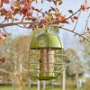 Smart Acorn Seed Silo geschützt 