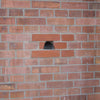 Halfopen neststeen nr. 26 om in te metselen – foto 3