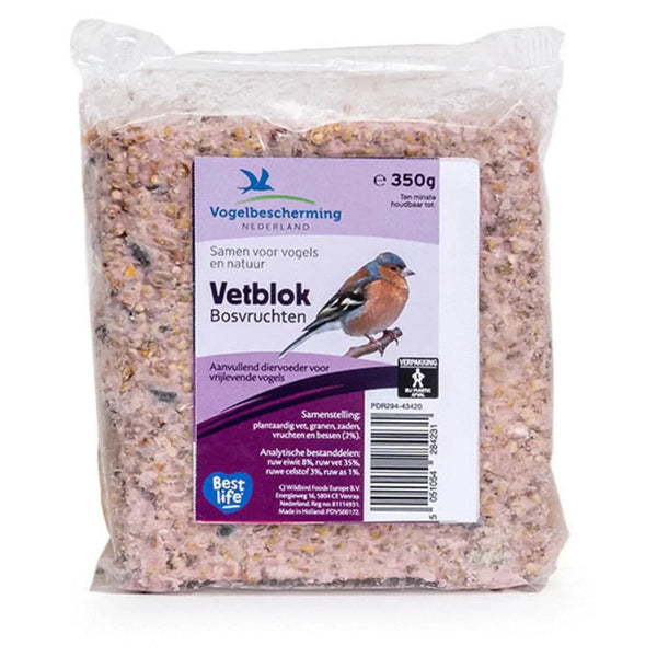 Vogelschutz Waldfrüchte