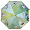 Regenschirmvögel