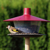 Feeder Fink weinrot
