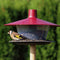 Feeder Fink weinrot