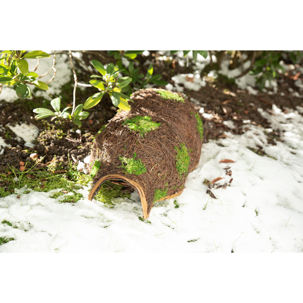 Außerhalb des Igelhauses