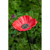 Gardman Futternapf/Vogelbad Mohn auf Stift