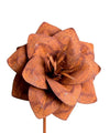 ROST - Rostblume 90.HT90941-0