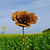 ROST - Rostblume 90.HT95266-0
