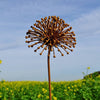 ROST - Rostblume 90.HT95267-R
