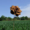 ROST - Rostblume 90.HT95508-0