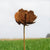 ROST - Rostblume 90.HT95311-R
