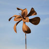 RUST - Cortenstahl-Spinnerblume