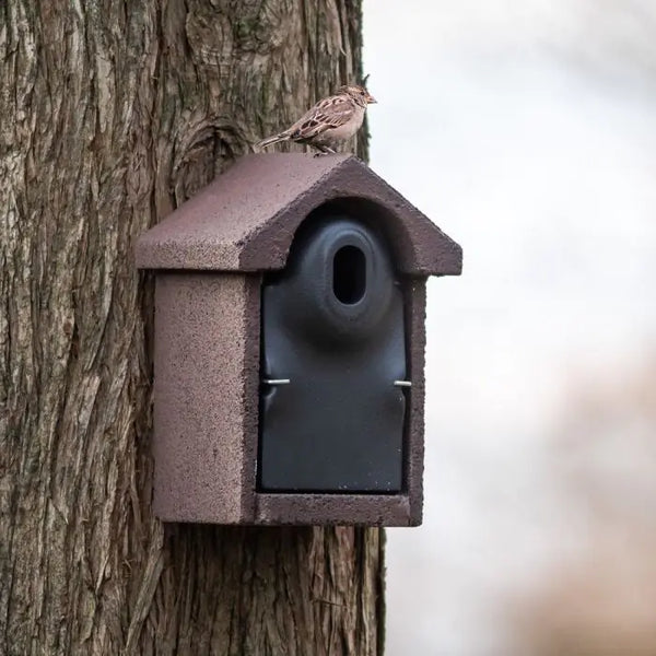 Nistkasten Bilbao WoodStone braun ovales Einflugloch 