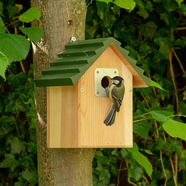 Kohlmeise Nistkasten Vail Modern 32mm | CJ Wildlife