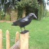 Esschert Design - Vogelscheuche Krähe