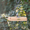 Vogelschutz - Futtertisch Hangede Aarhus