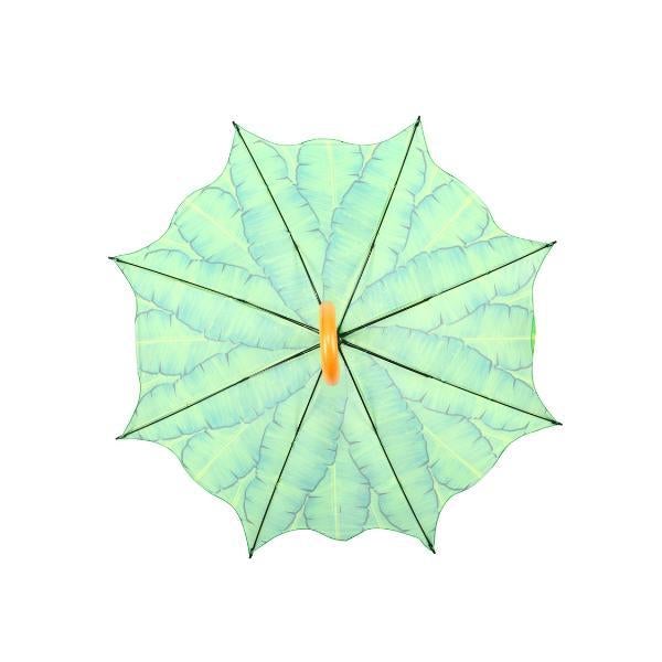 Regenschirm-Bananenblätter
