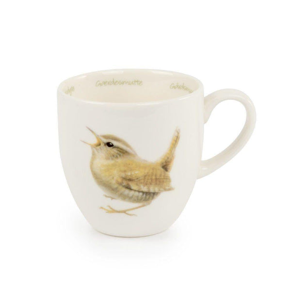 Becher Zaunkönig