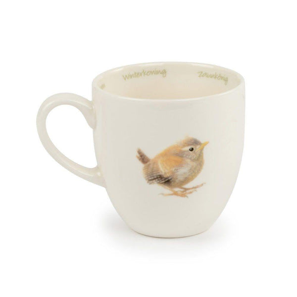 Becher Zaunkönig