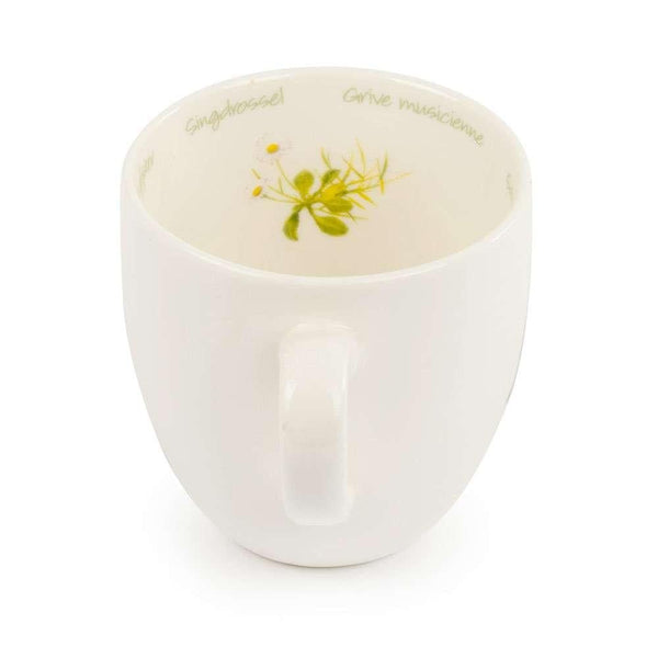 Becher Singdrossel