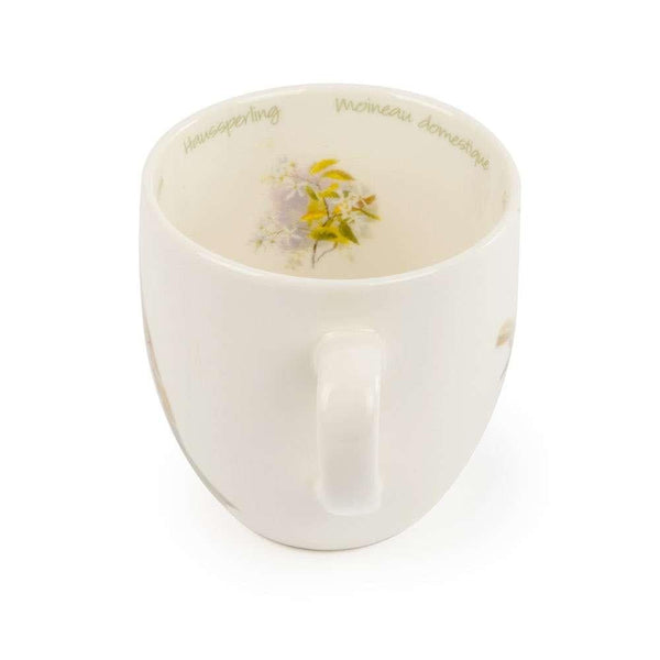 Tasse Haussperling