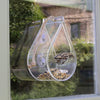 Fenster-Feeder - fallen lassen