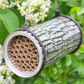Das Bienennest