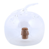 Fruchtfliegenfalle Apfel