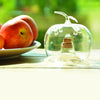 Fruchtfliegenfalle Apfel