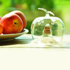 Fruchtfliegenfalle Apfel