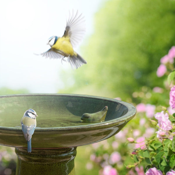 Vogeltränke grün zu Fuß