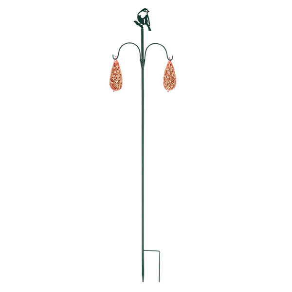 Futterstelle Vogel grüner Arsch.