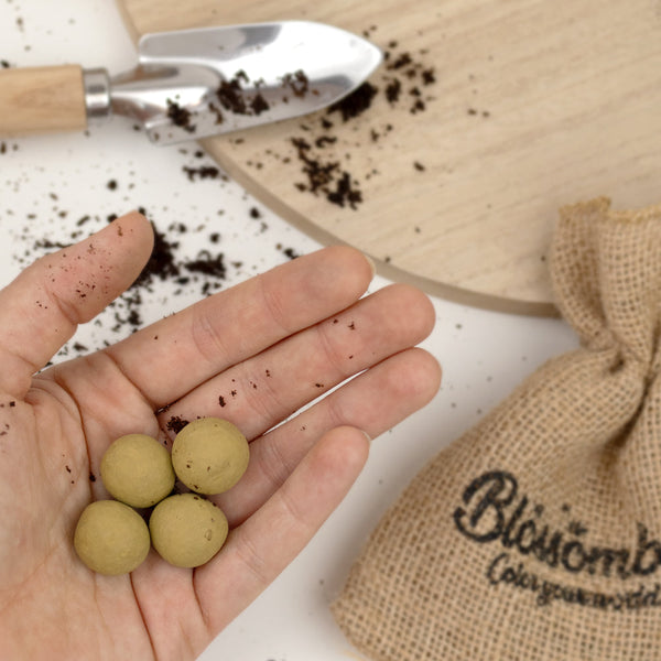 Geschenkbox klein "Dankeschön" mit 7 Samenbomben-Mix aus Garten- und Küchenkräutern