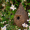 Vogelhaus-Rost