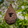 Vogelhaus-Rost