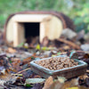 Futternapf für Igel