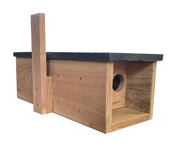 Kleine Eulenbox 