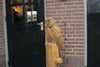 Holzskulptur Eule auf Stamm