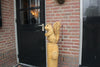 Holzskulptur Eichhörnchen auf Stamm