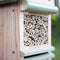 Studienzentrum für Insekten