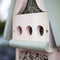 Studienzentrum für Insekten