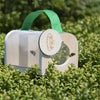 Insekten-Studienkasten aus Holz
