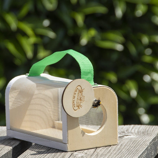 Insekten-Studienkasten aus Holz
