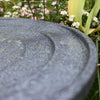 Wasser ist Leben Birdbath und Trinker
