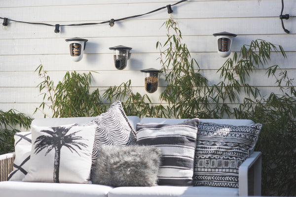 SingingFriend - FeedR transparent anthrazit